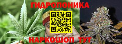 a pvp Бугуруслан
