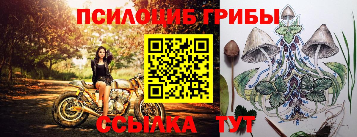 Псилоцибиновые грибы мицелий Узловая
