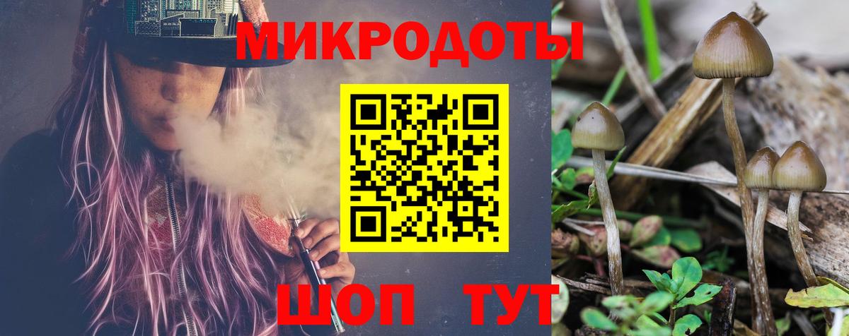 Галлюциногенные грибы Psilocybe  Вход с VPN  Узловая  Псилоцибиновые грибы мухоморы 